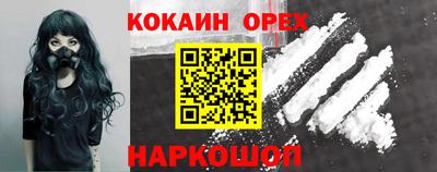 индика Кандалакша