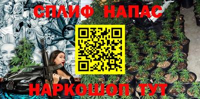 индика Кандалакша