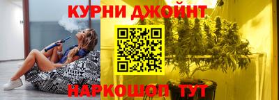 молекула духа Камышлов