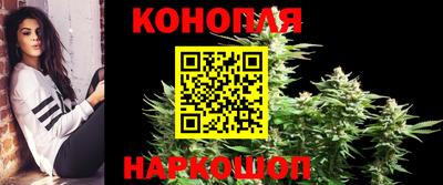 молекула духа Камышлов