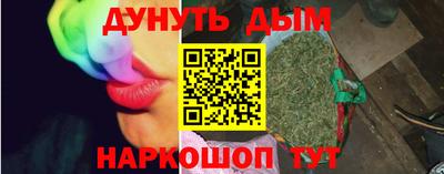 индика Кандалакша