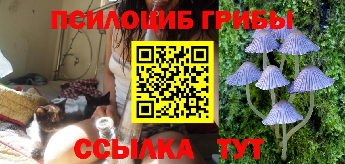 Псилоцибиновые грибы MAGIC MUSHROOMS  купить наркотик  Тулун  Вход с VPN 