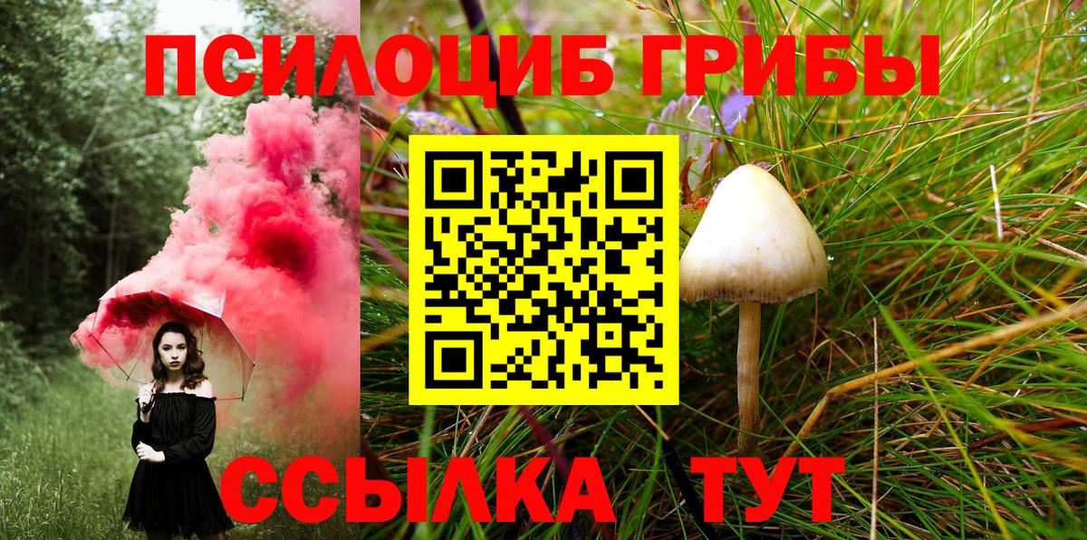 Псилоцибиновые грибы мухоморы Тулун